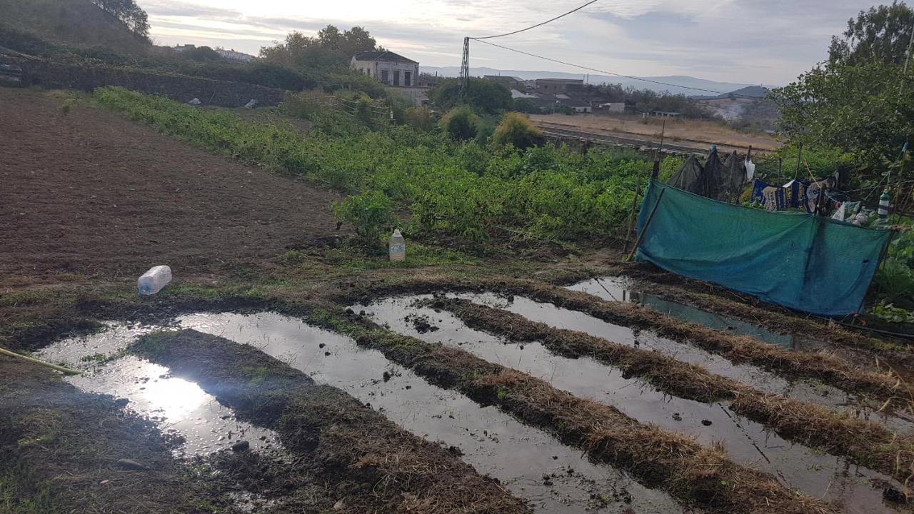 El Sitio De Su Recreo Villa Jerez De Los Caballeros Bagian luar foto